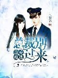 劫爱难逃：总裁别过来封面