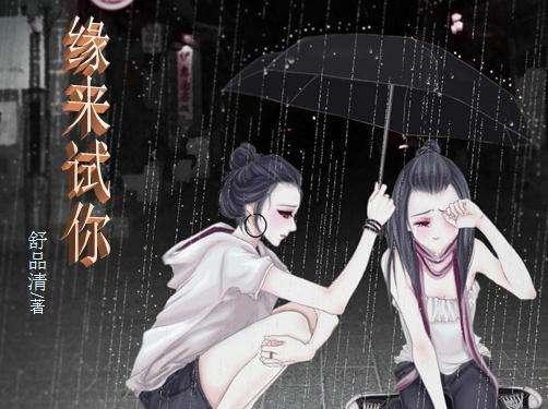 缘来试你封面