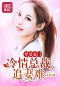 孽爱豪门：冷情总裁追妻难封面