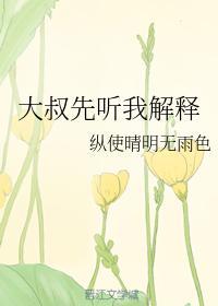 姐夫先听我解释封面