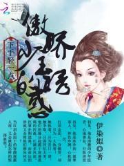 下手轻一点:傲娇少主的诱惑封面