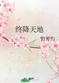 终降天地封面