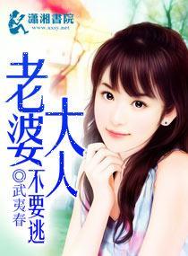 老婆大人不要逃封面