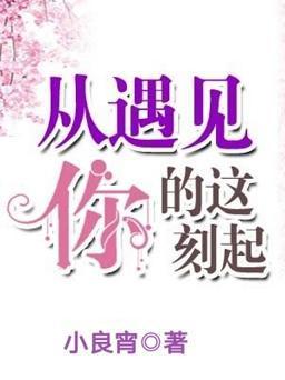 从遇见你的这刻起封面