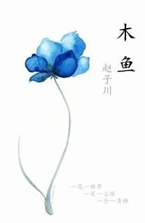 木鱼封面