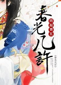 春光几许封面