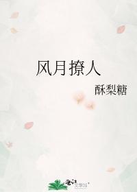 风月撩人封面