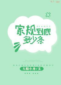 家规到底多少条封面