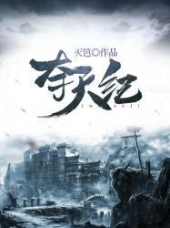 夺天纪封面