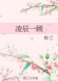 凌辰一顾封面