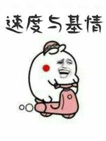 速度与基情封面