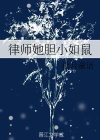 律师她胆小如鼠封面