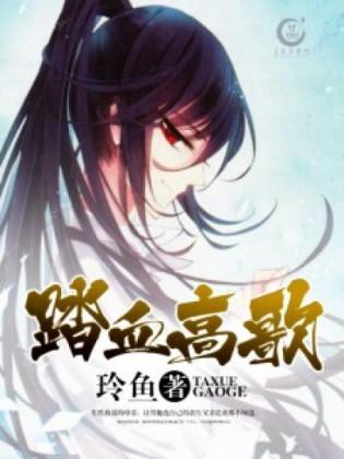 踏血高歌封面