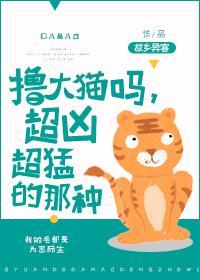 撸大猫吗，超凶超猛的那种！封面