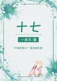 十七封面