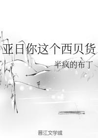 亚日你这个西贝货封面