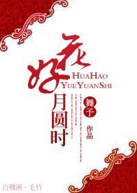 花好月圆时封面