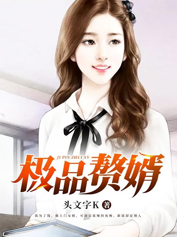 极品赘婿封面