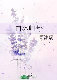 白沐归兮封面