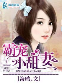 霸宠小甜妻封面