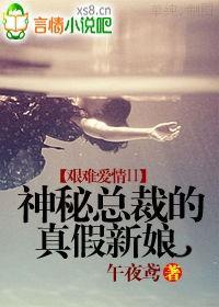 艰难爱情II：神秘总裁的真假新娘封面