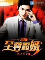 豪门至尊霸婿封面