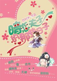 暗恋夫子的那些日子封面