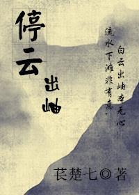 停云出岫封面