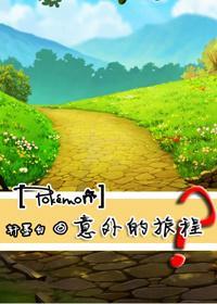 神奇宝贝:意外的旅程?封面