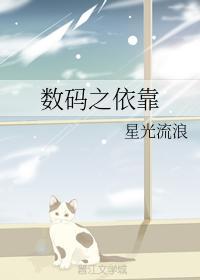 数码之依靠封面