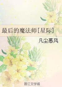 最后的魔法师[星际]封面