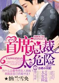 首席总裁,太危险封面