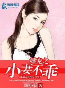 婚宠之小妻不乖封面