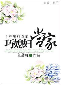 巧媳妇当家封面