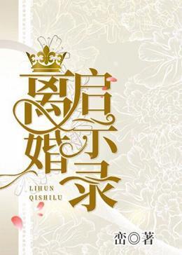 离婚启示录封面