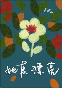 她真漂亮封面