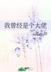我曾经是个大佬封面