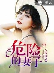 危险的妻子封面