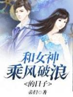 和女神乘风破浪的日子封面