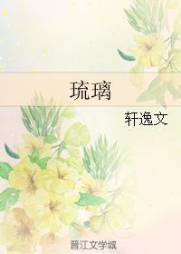 琉璃封面