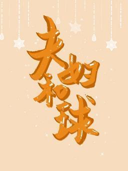 夫妇和球封面