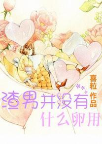 渣男并没有什么卵用封面