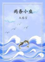 两条小鱼封面