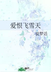 爱恨飞雪天封面