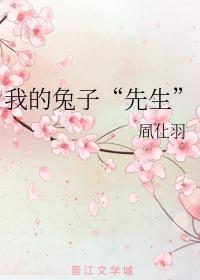 我的兔子“先生”封面