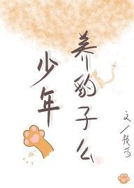 少年,养豹子么封面