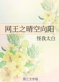 网王之晴空向阳封面