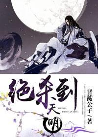 绝杀到天明封面