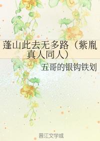 蓬山此去无多路封面