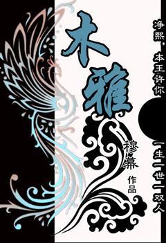 木雅封面